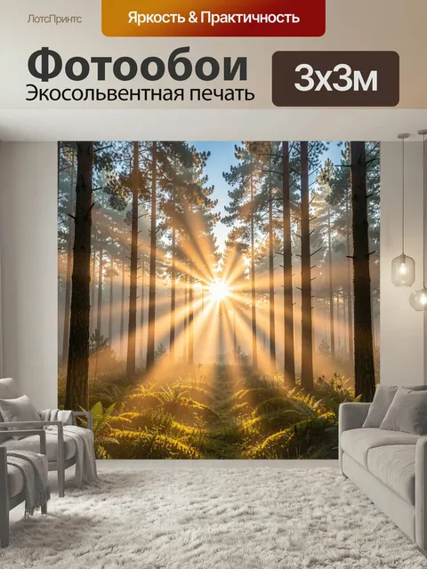 Фотообои Лес с солнечными лучами. Утренний сосновый бор в мягком тумане, яркие золотые лучи пробиваются сквозь высокие…