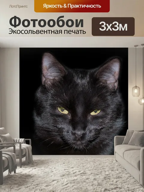 Фотообои Кошка, черный, feline
