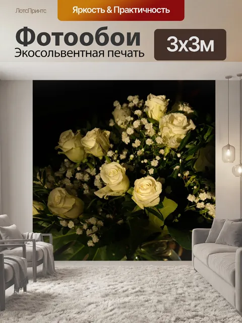 Фотообои Розы, белый, цветок