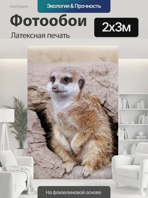 200 × 300 см · Латексная печать