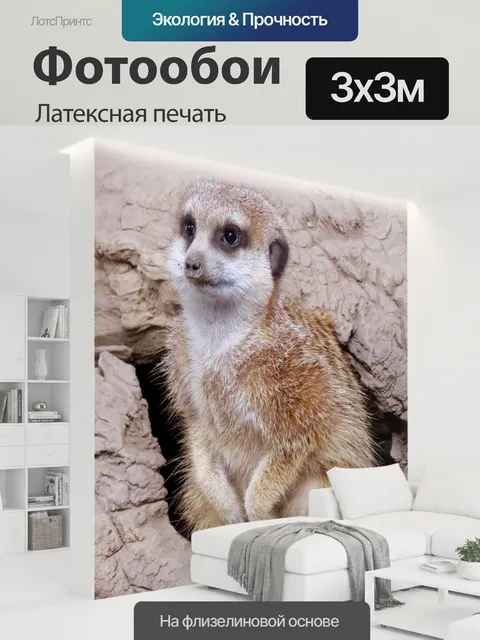 300 × 300 см · Латексная печать