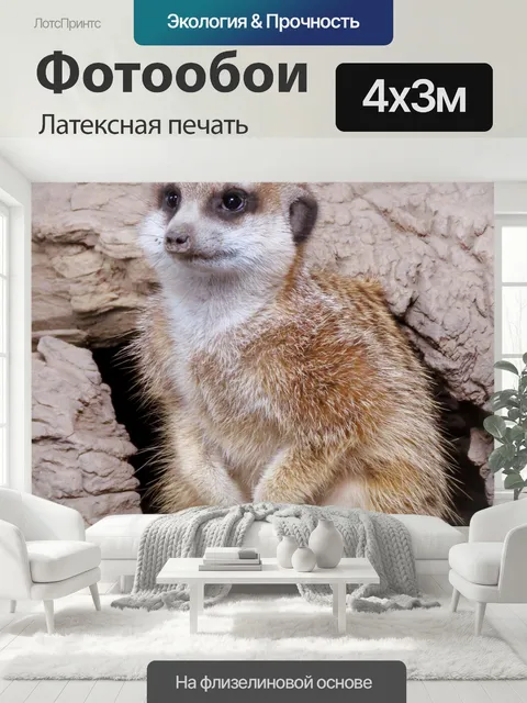 400 × 300 см · Латексная печать
