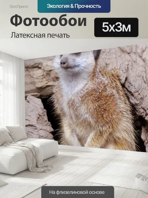 500 × 300 см · Латексная печать