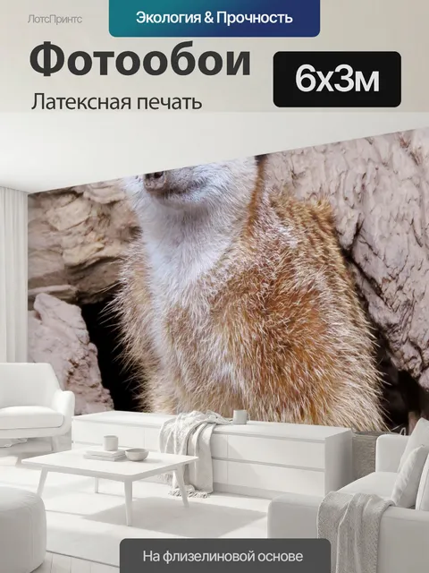 600 × 300 см · Латексная печать