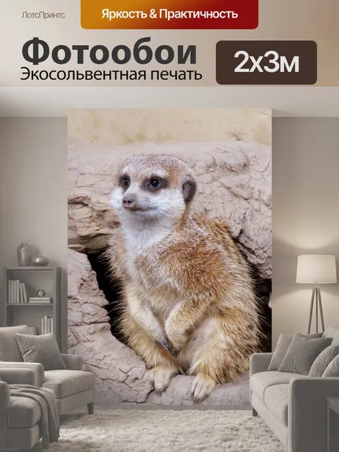 200 × 300 см · Экосольвентная печать