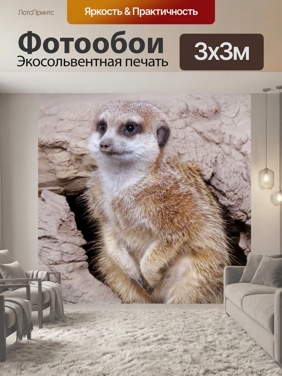 Фотообои Сурикат, мангуста, зоопарк калгари
