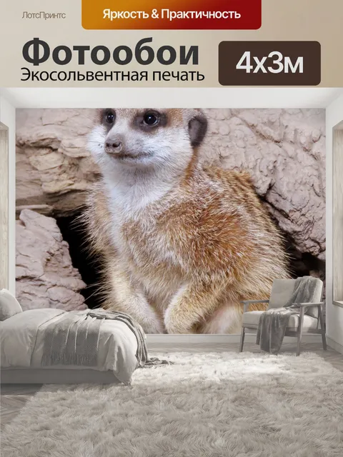 400 × 300 см · Экосольвентная печать