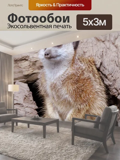 500 × 300 см · Экосольвентная печать