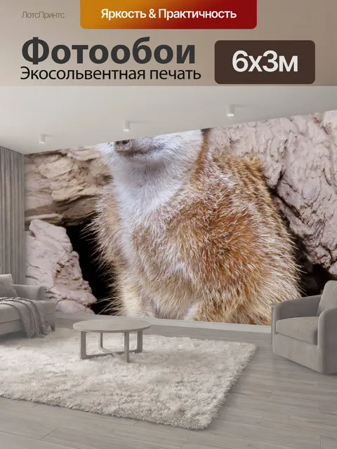 600 × 300 см · Экосольвентная печать