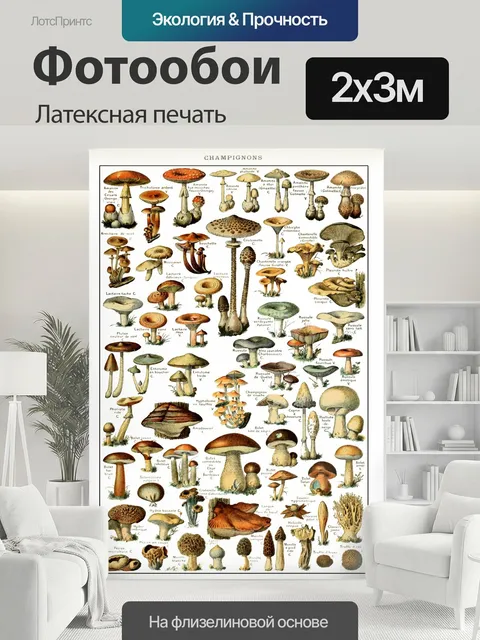 200 × 300 см · Латексная печать