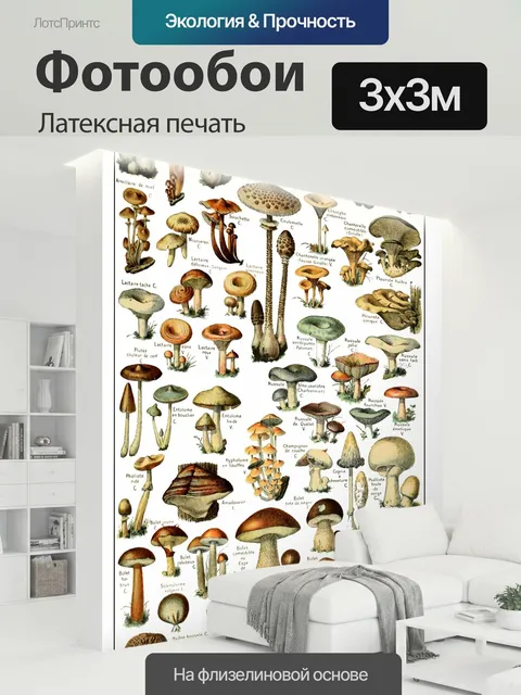 300 × 300 см · Латексная печать