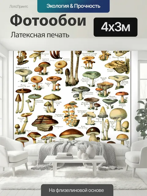 400 × 300 см · Латексная печать