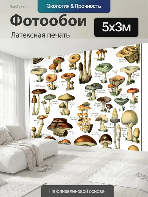 500 × 300 см · Латексная печать