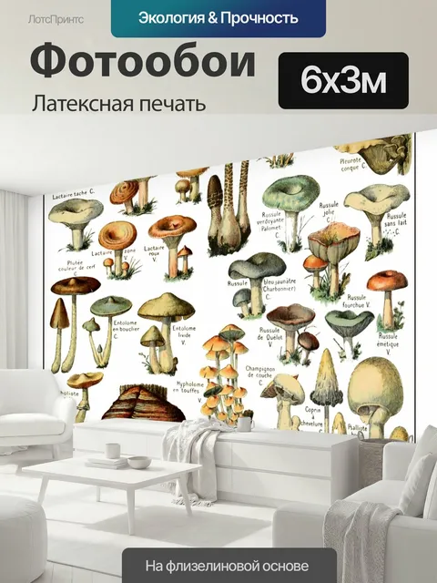 600 × 300 см · Латексная печать