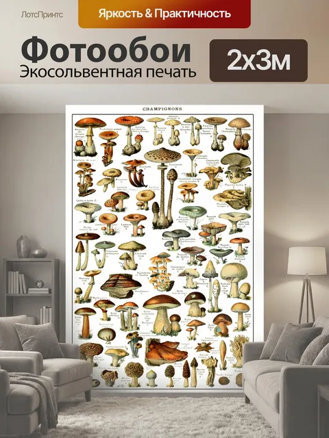 200 × 300 см · Экосольвентная печать