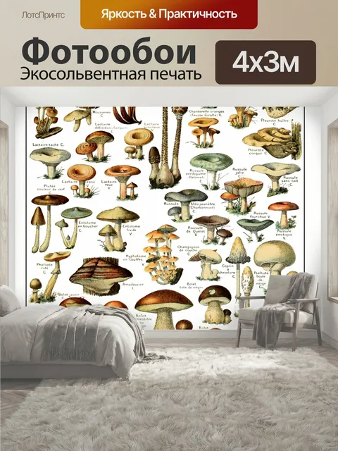 400 × 300 см · Экосольвентная печать