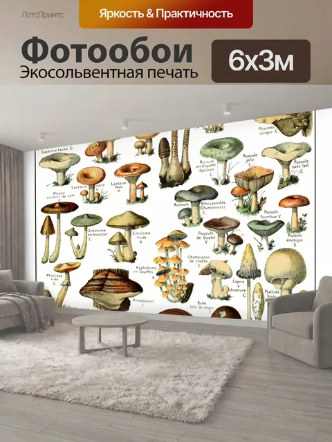 600 × 300 см · Экосольвентная печать