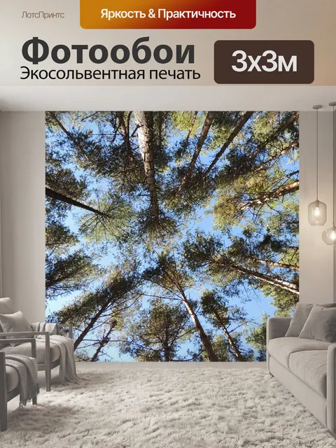 Фотообои Сосна, лес, деревья
