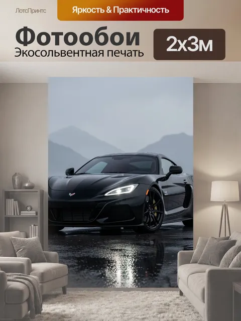 200 × 300 см · Экосольвентная печать