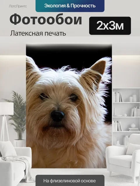 200 × 300 см · Латексная печать
