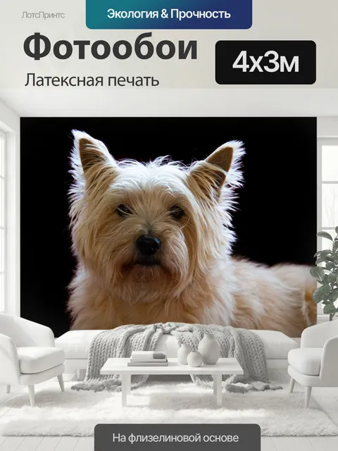 400 × 300 см · Латексная печать