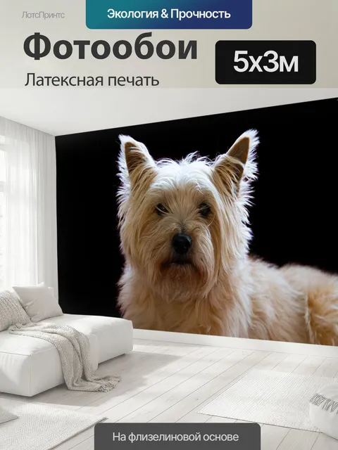 500 × 300 см · Латексная печать
