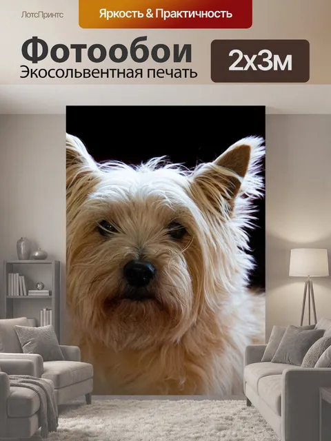 200 × 300 см · Экосольвентная печать