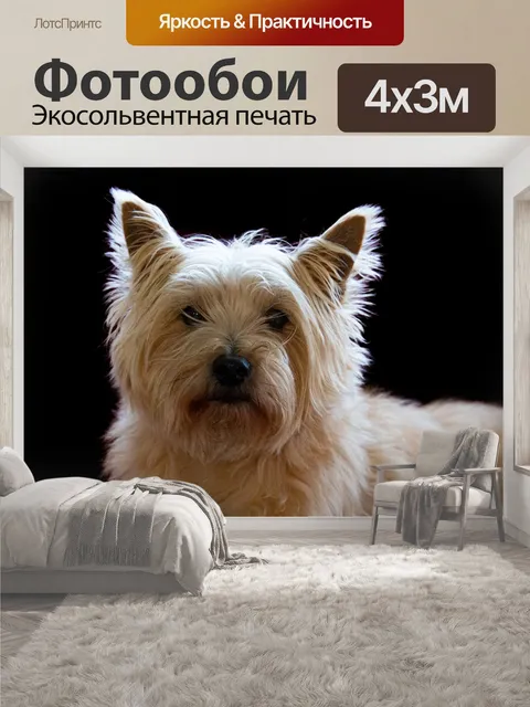 400 × 300 см · Экосольвентная печать