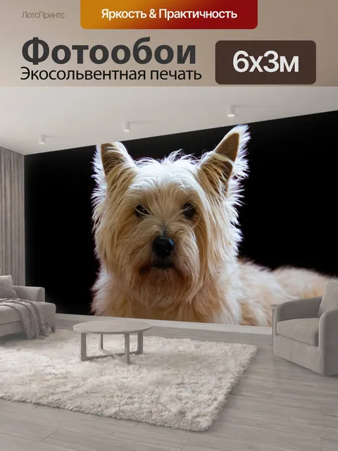 600 × 300 см · Экосольвентная печать