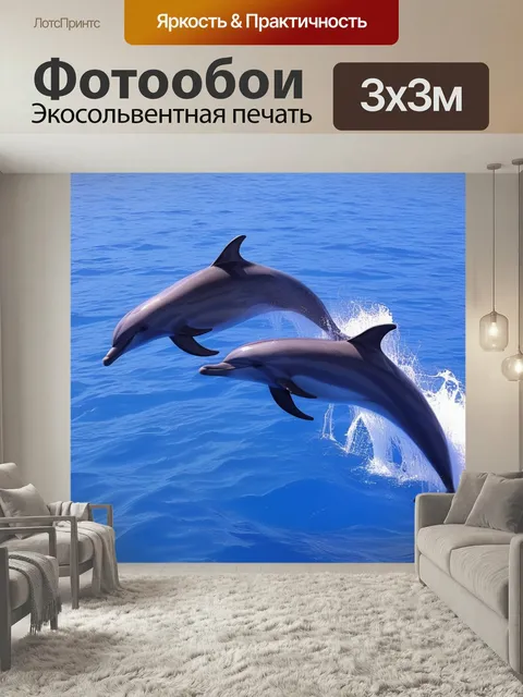 Фотообои Пара дельфины животные