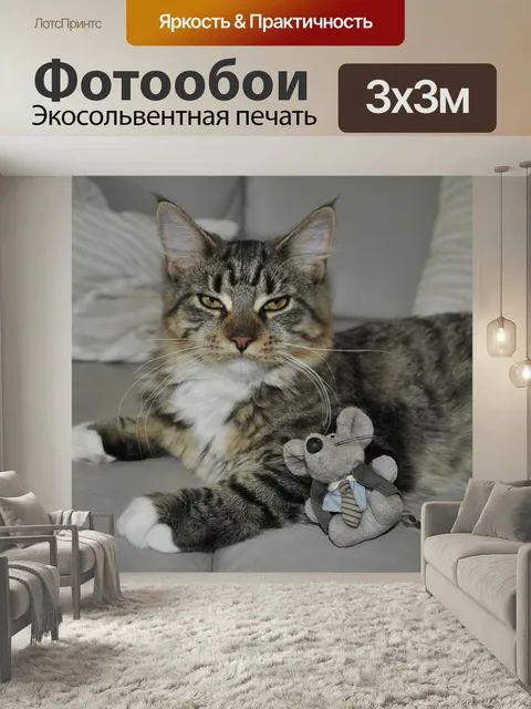 Фотообои Кот, игрушка, мышь