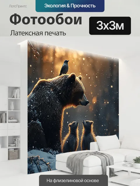 300 × 300 см · Латексная печать