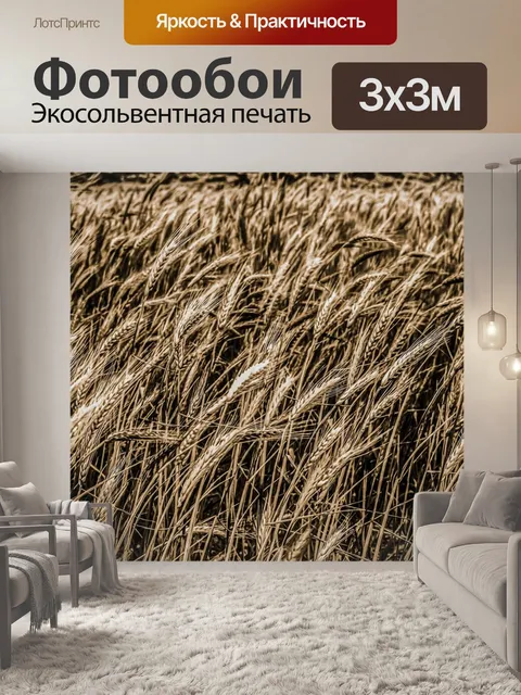 Фотообои Пшеница, зерновой, еда