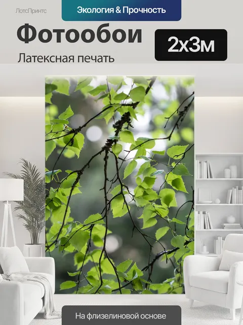 200 × 300 см · Латексная печать