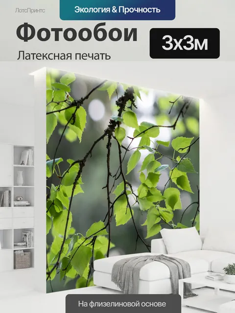 300 × 300 см · Латексная печать