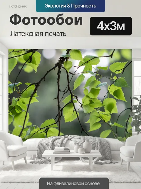 400 × 300 см · Латексная печать