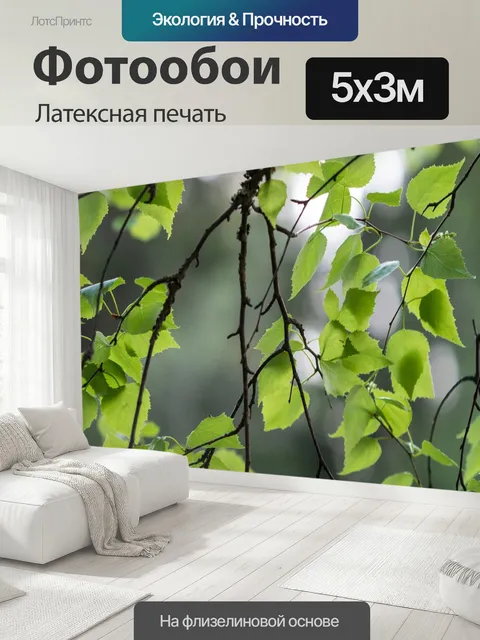 500 × 300 см · Латексная печать