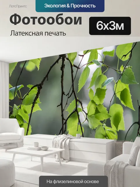 600 × 300 см · Латексная печать