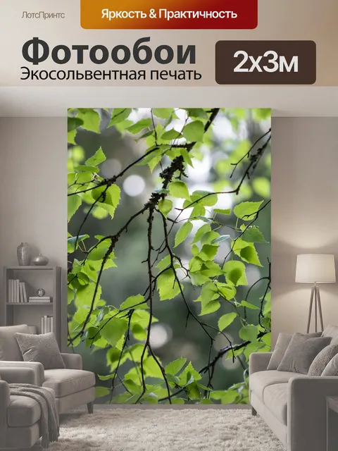 200 × 300 см · Экосольвентная печать