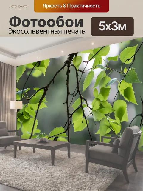500 × 300 см · Экосольвентная печать