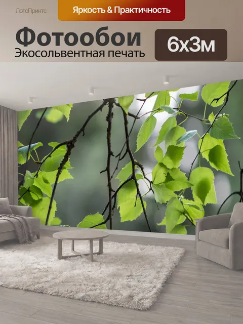 600 × 300 см · Экосольвентная печать