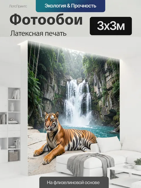 300 × 300 см · Латексная печать