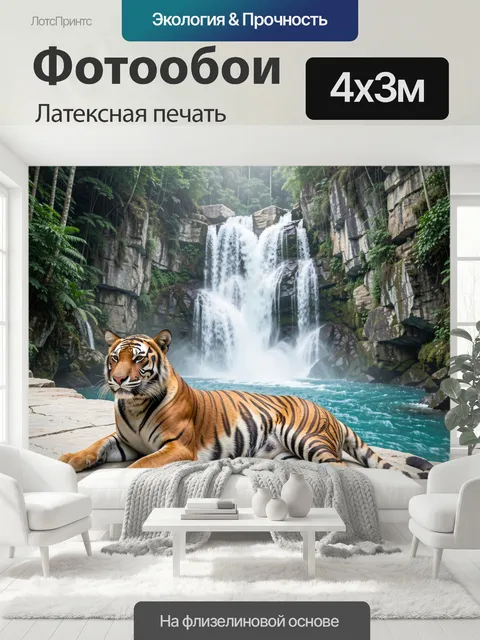 400 × 300 см · Латексная печать