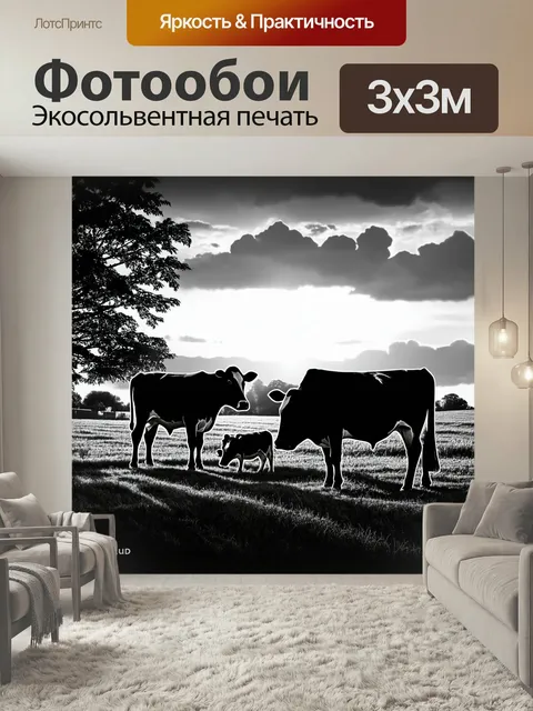 Фотообои Черно-белый: сцена на ферме с старыми коровами, пасущимися на лужайке при мягком свете заката. фон включает с…