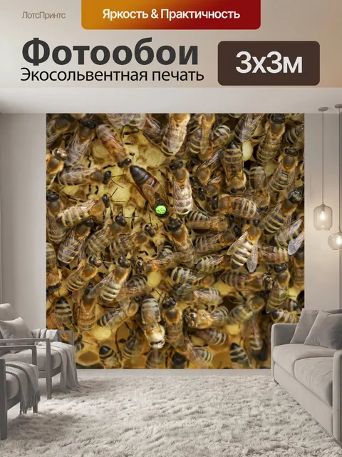 Фотообои Пчелы, матка, улей