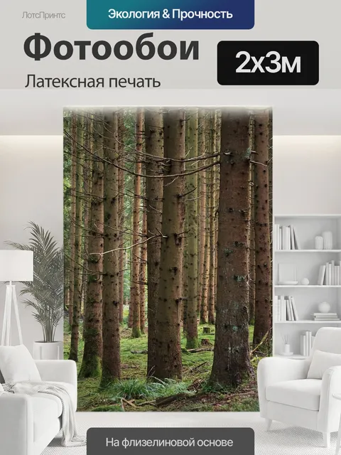 200 × 300 см · Латексная печать