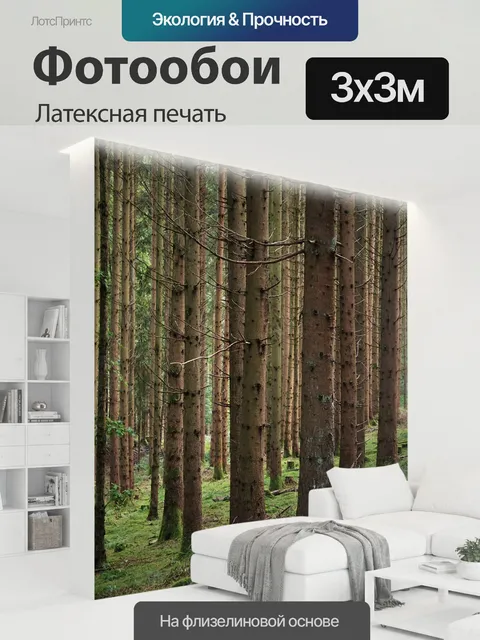 300 × 300 см · Латексная печать