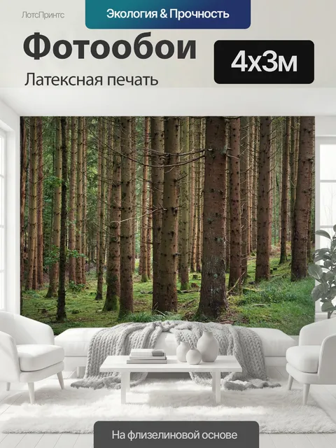 400 × 300 см · Латексная печать