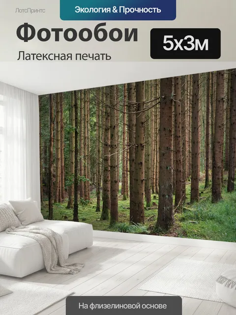 500 × 300 см · Латексная печать