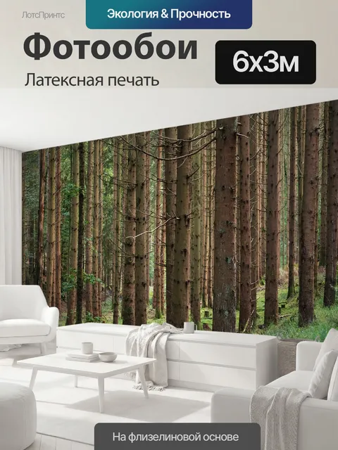 600 × 300 см · Латексная печать